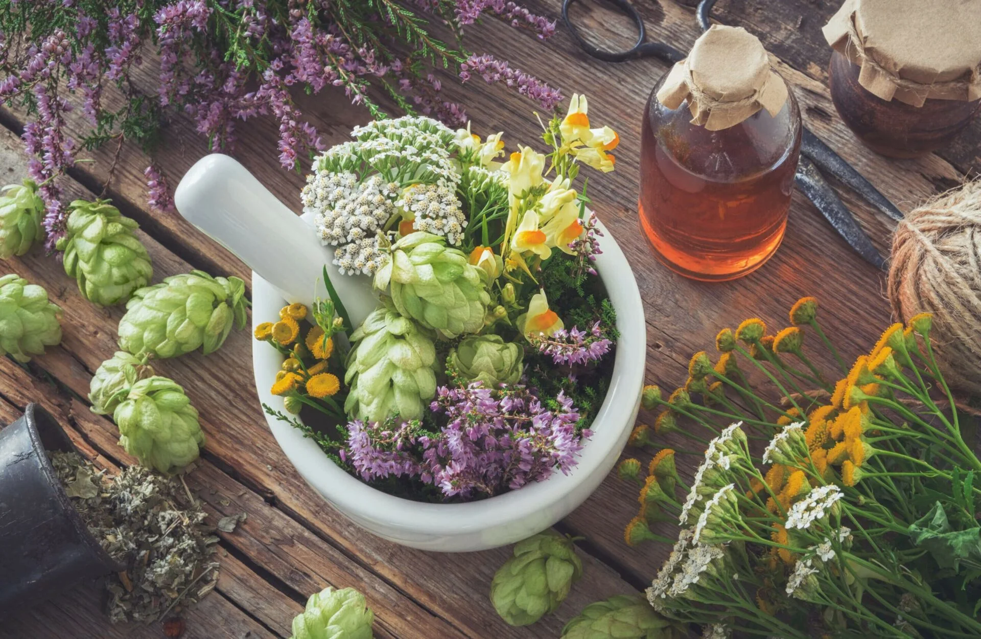 La phytothérapie comme remède contre les maux de tête La phytothérapie comme remède contre les maux de tête