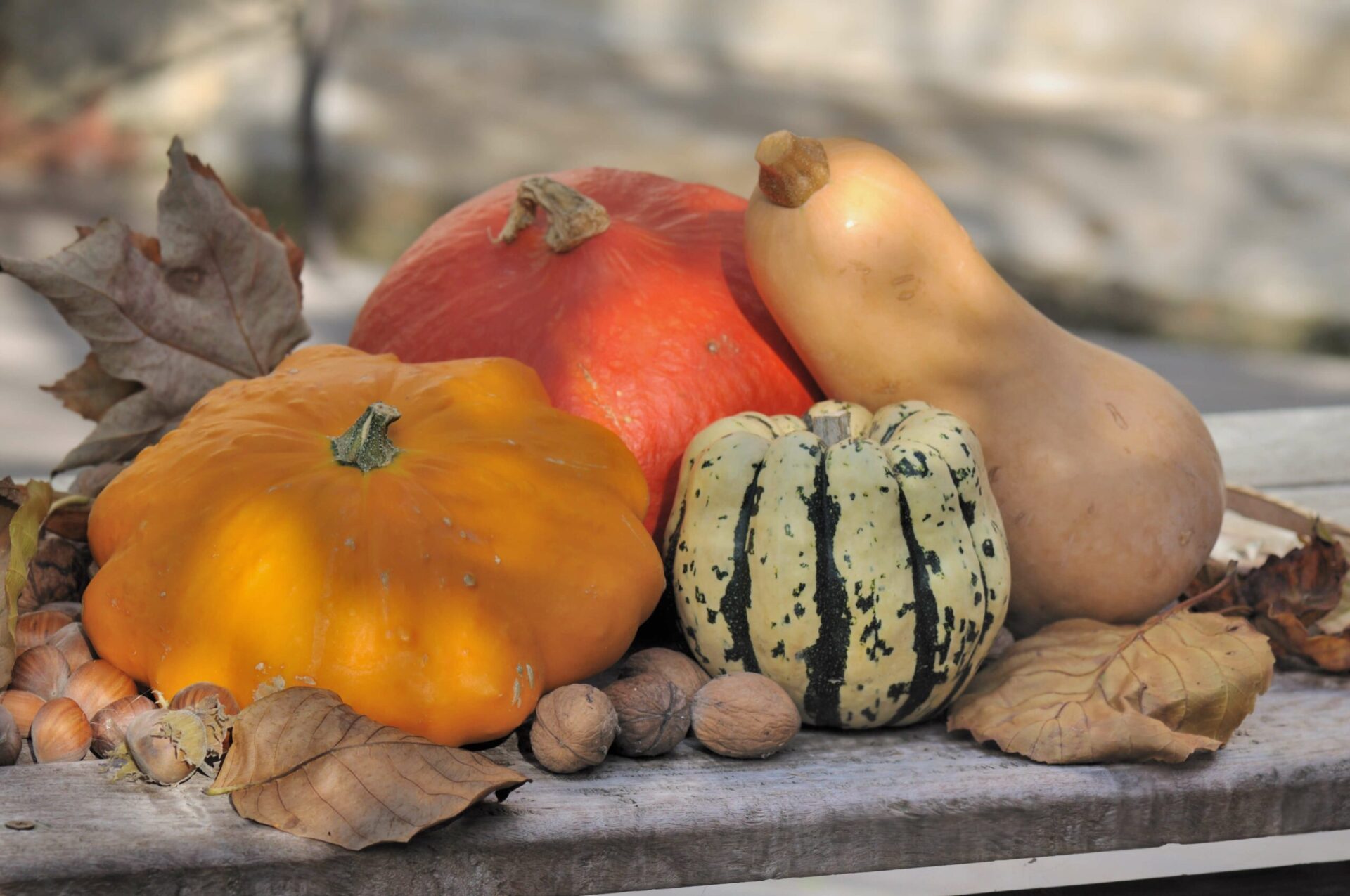 Curry de courge pour un régime acido-basique adéquat ! Curry de courge pour un régime acido-basique adéquat !
